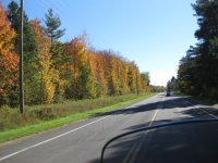 IMG_4374.jpg