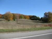 IMG_4389.jpg