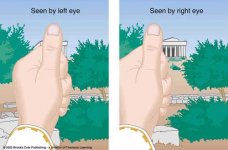 parallax-thumb.jpg