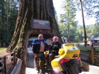 Redwood road trip 023 (800x600).jpg