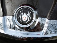 Lamonts-dome-decal.jpg