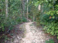 Wolf Creek 01.jpg