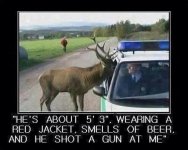 he shot at me.jpg