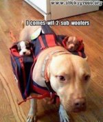 Subwoofers.jpg