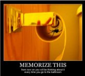 spider.JPG