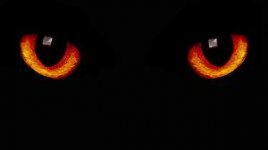 Eyes In The Darkness.jpg