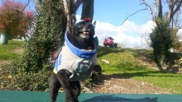 20131103_104426.jpg