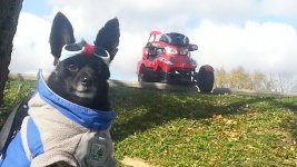 20131103_104306.jpg