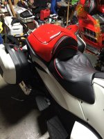IMG_8557.jpg