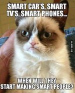 grumpy cat.jpg