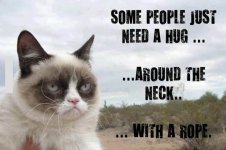around the neck with a rope.jpg