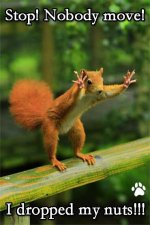DROPPED MY NUTS.jpg