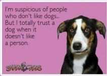 dogs.jpg
