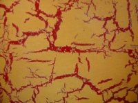crackle paint 003118876_small.jpg