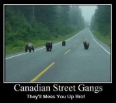 Canadian Gangs.jpg