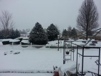 snow.jpg