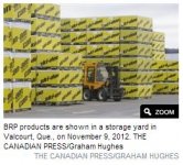 yard picture.JPG