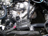 Spyder - Right Side - After - 2.jpg