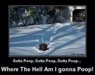 dog in snow.jpg