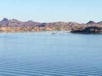 Havasu 01-08-14 3.jpg