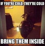 bike.jpg