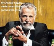 yellow Spyder.jpg