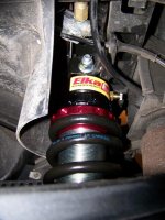 Elka Rear - 2.jpg