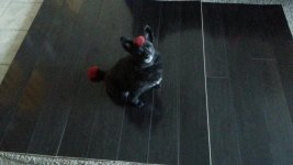 20131224_161548.jpg