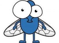 Fly.jpg