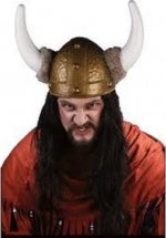 viking helmet.jpg