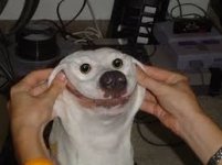 images.jpg