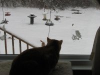 IMG_2349.jpg