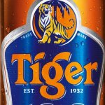 Tiger.jpg