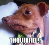 thquirrel.jpg