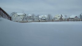 IMGP5076.jpg
