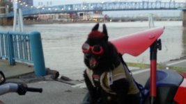 20140222_182408.jpg