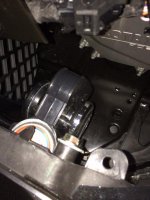 horn2.jpg