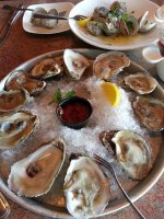 oysters.jpg