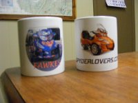 SpyderMugs 02.jpg