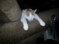 20130716_164938.jpg