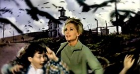 hitcockbirds.jpg