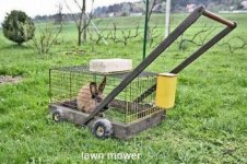 Redneck Lawn Mower.jpg