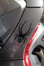spider 2.jpg