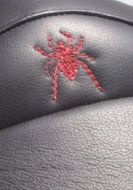Spider.jpg