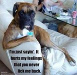 You never lick me back.jpg
