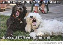 Dogs laughing.jpg
