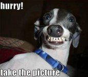 Take The Picture.jpg