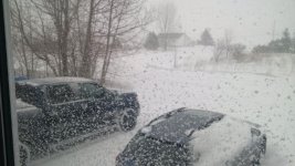 IMG_20140322_102410.jpg