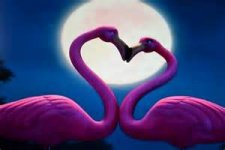 3love.jpg