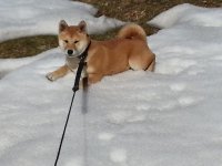 20130217_112627.jpg